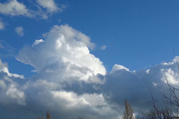 Кракен даркнет купить