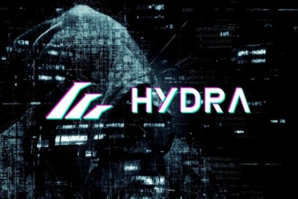 Как найти kraken