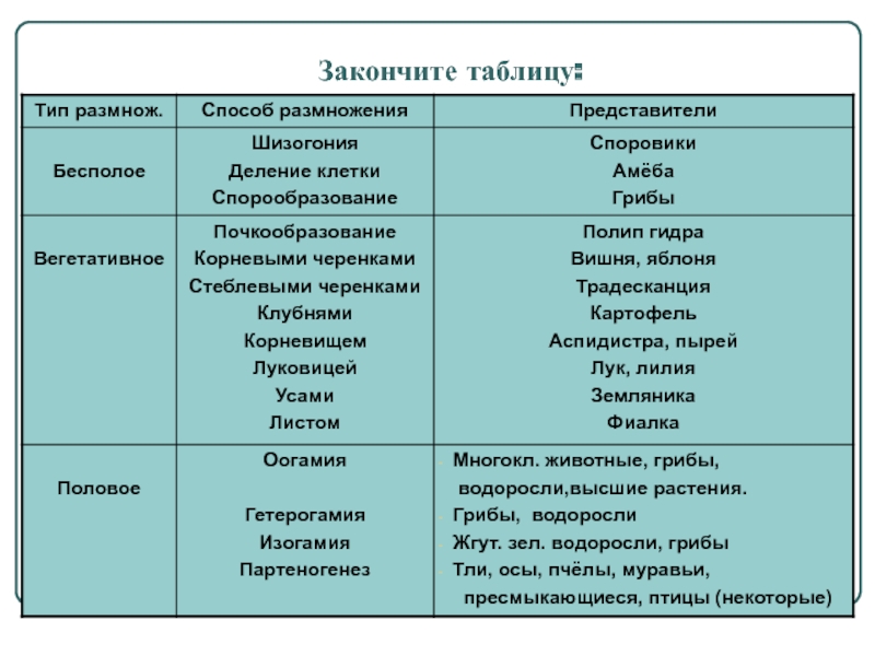 Ссылка на кракен оригинал