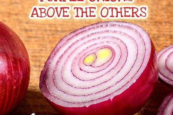 Kraken onion link
