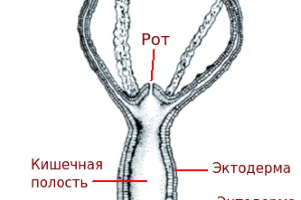 Войти даркнет